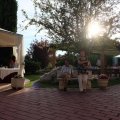 DSCF4419