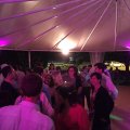 IMG_3505