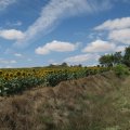 IMG_2290