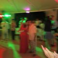 IMG_2390