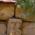 DSC_0205 (2)