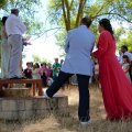 DSC_0216 (2)