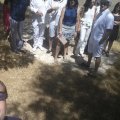 2015-08-01 13.37.07